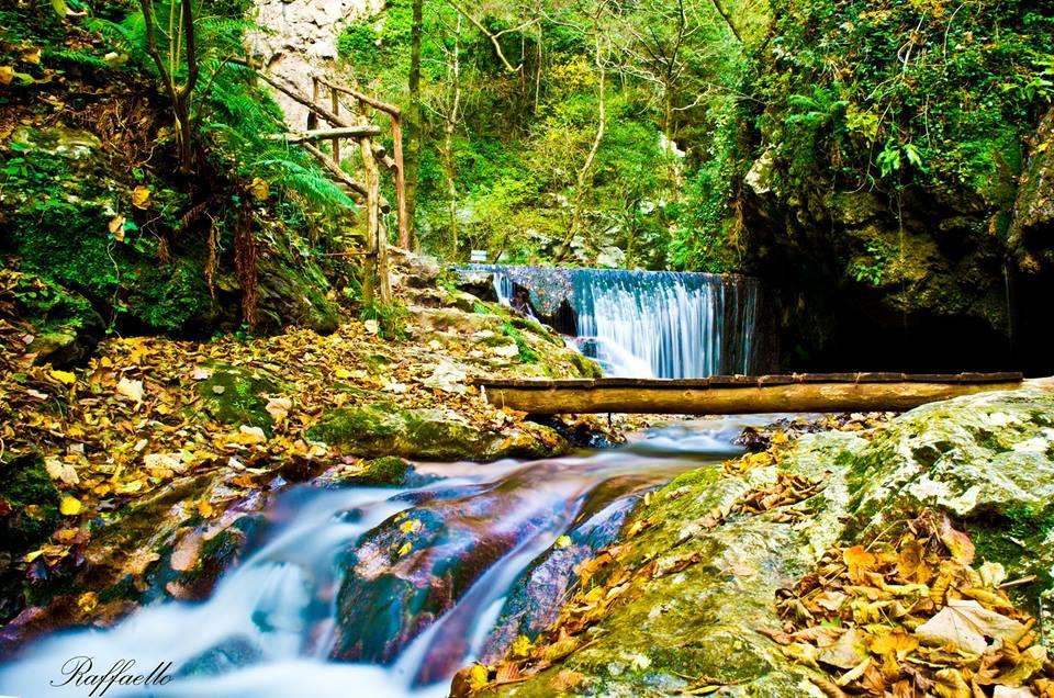 B&B Oliva Scala Dış mekan fotoğraf